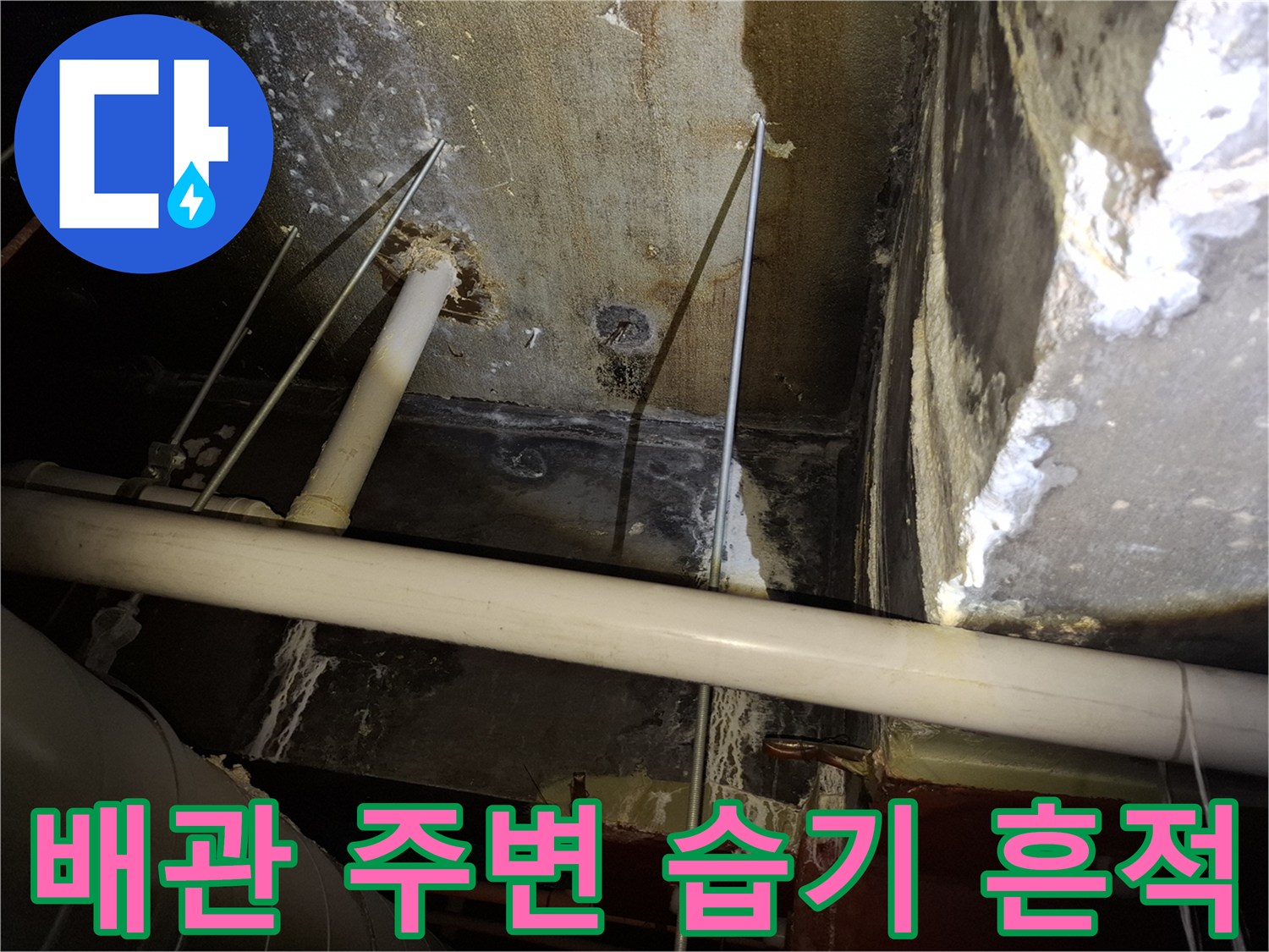 배관 주위의 누수 자국과 젖은 마감재 상태