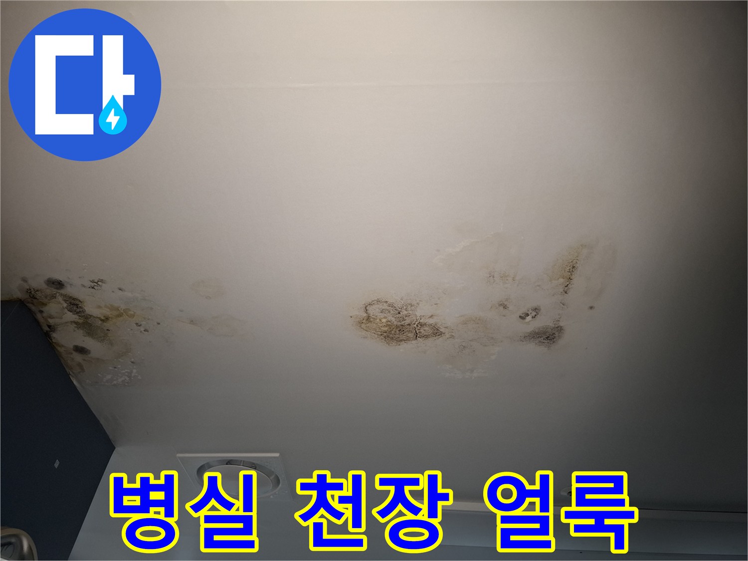 철산동 병실-천장 텍스 부위의 누수 흔적과 곰양 발생 상태