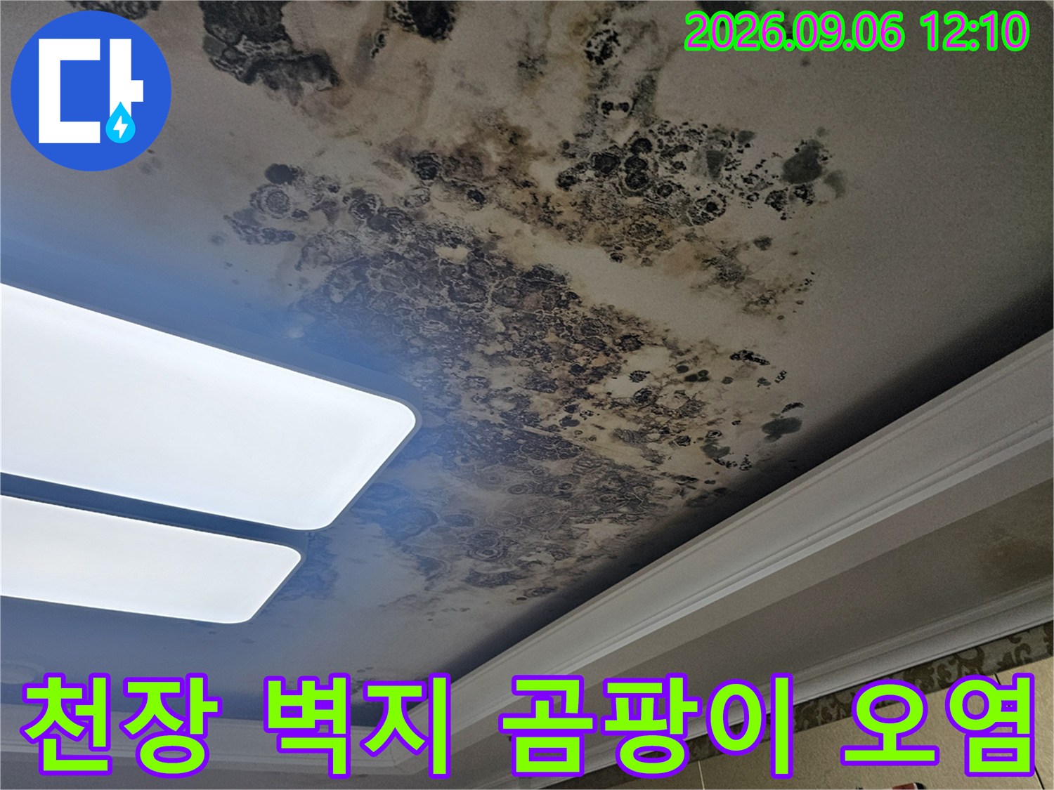 거실 천장 조명 근처에 나타난 심각한 누수 및 곰팡이 흔적