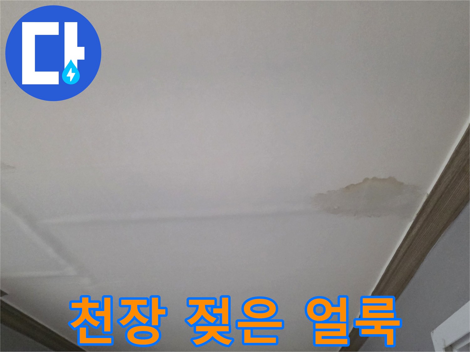 습기로 인해 변색이 진행된 천장 마감재 영역