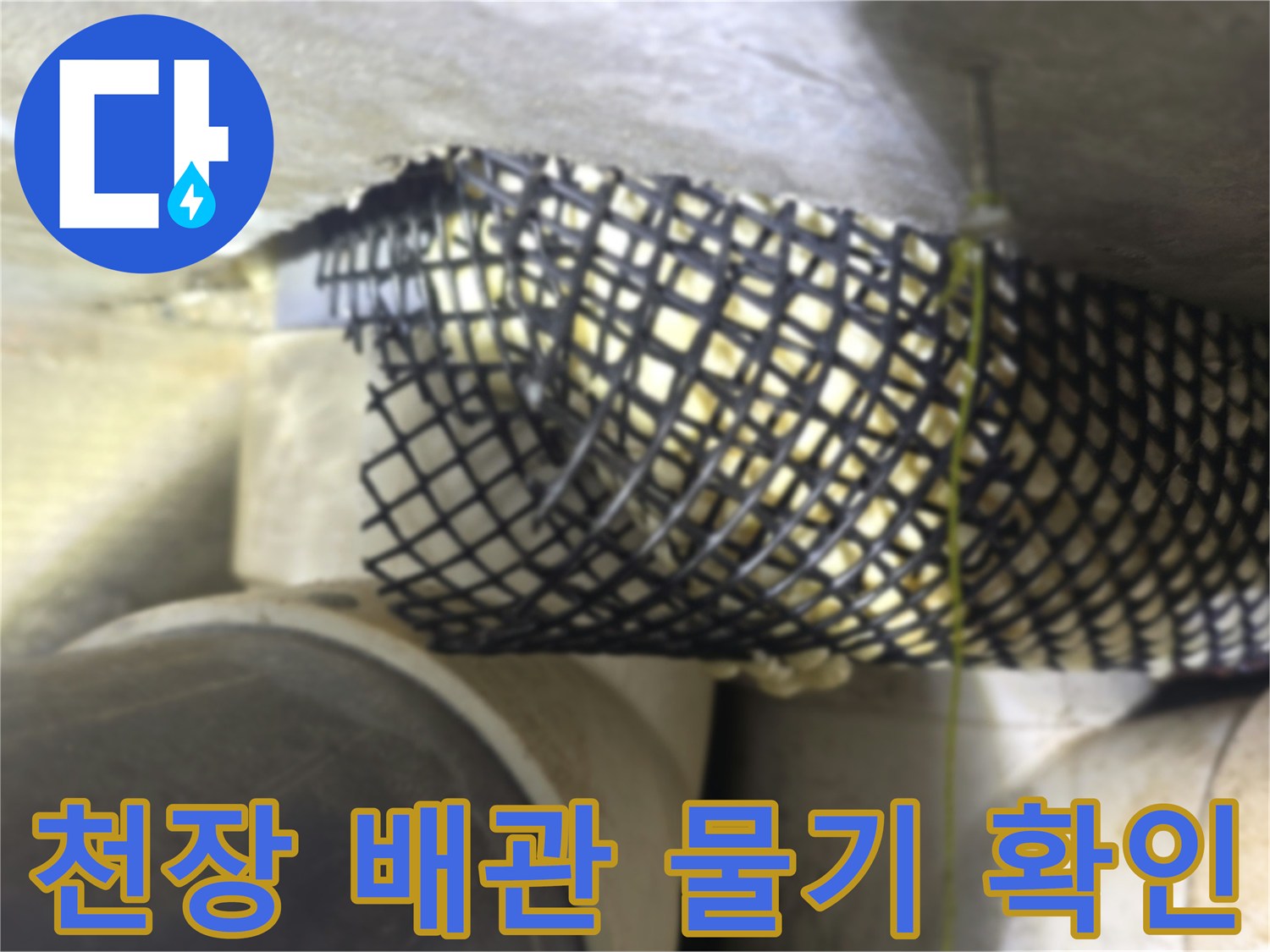 축축하게 젖은 천장 배관-배관 주변의 습기와 오염된 마감 상태