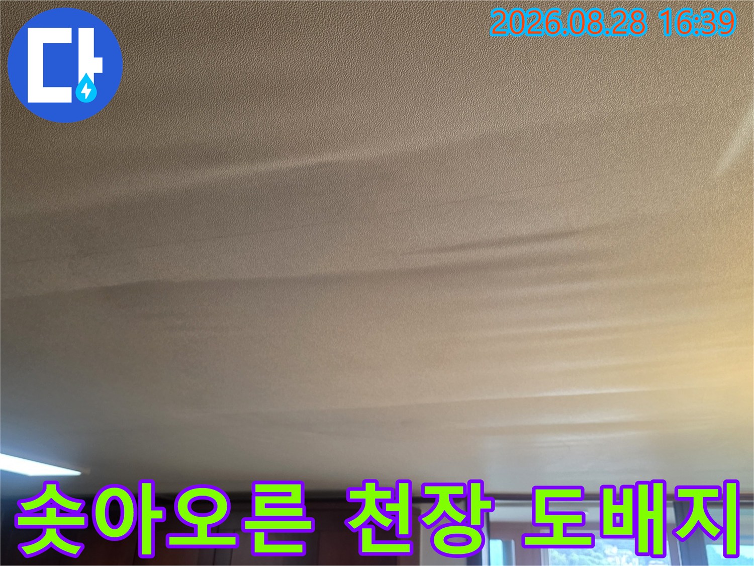 습기 유입으로 부풀어 오른 거실 천장 - 누수 탐지 필요 현장