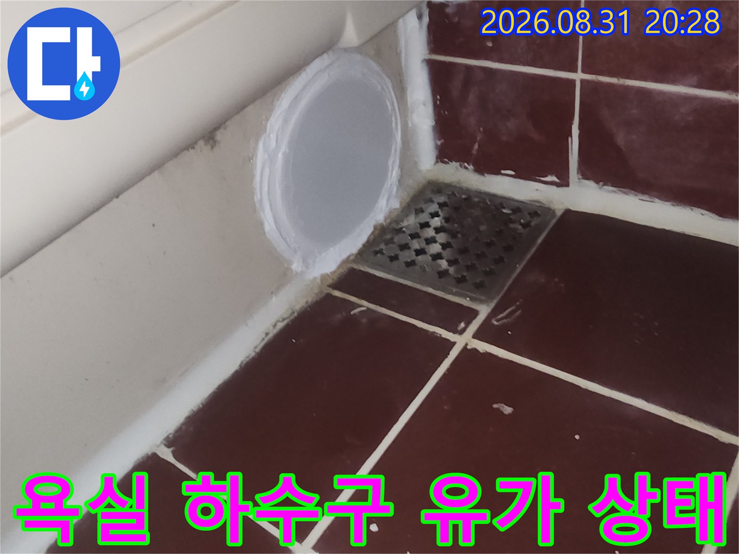 양천구 욕실 하수구 근처의 타일과 배관 연결 부위 모습입니다.