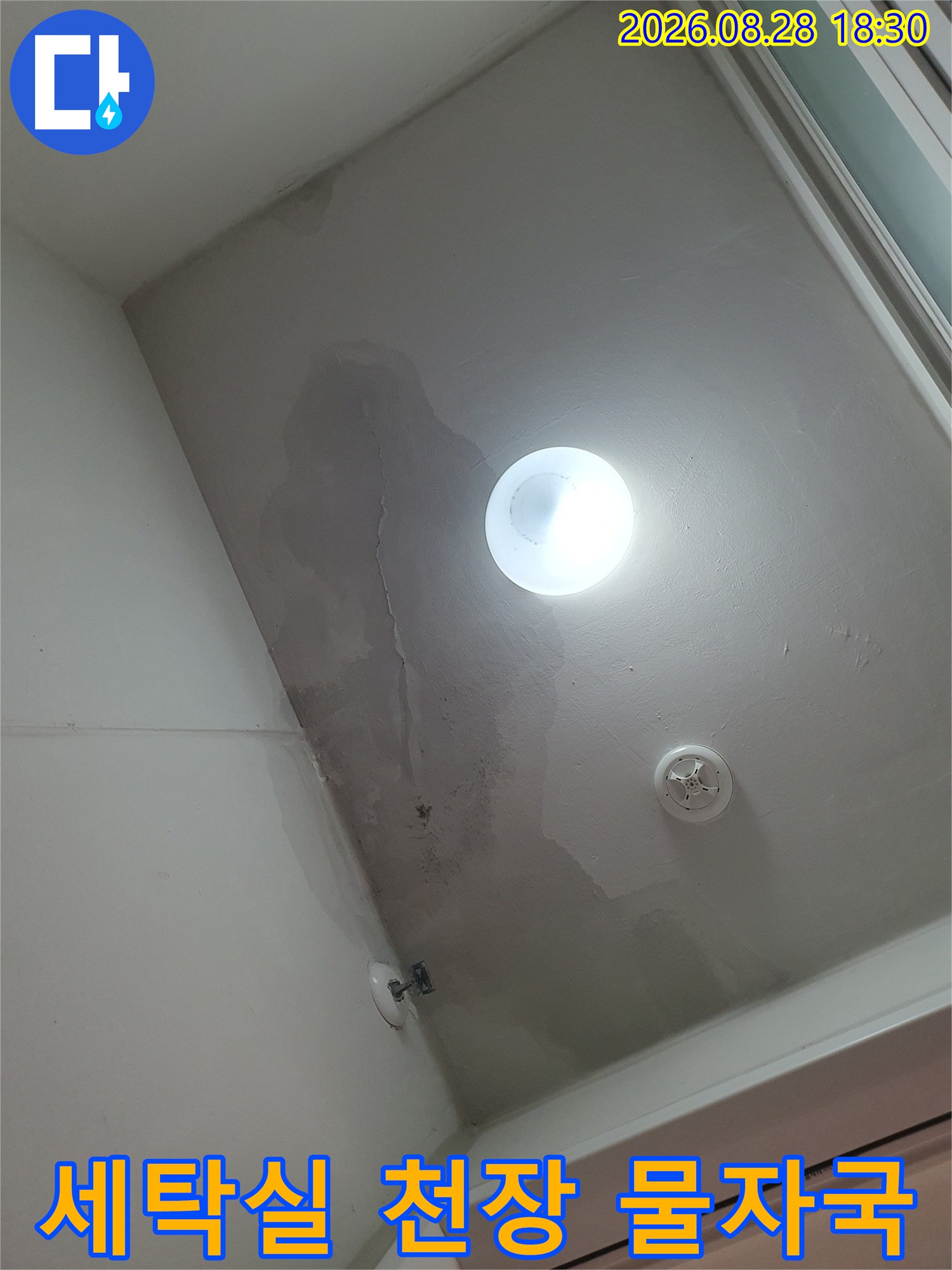 천장 전등 주변과 벽면의 누수 변색 부위 상세 촬영