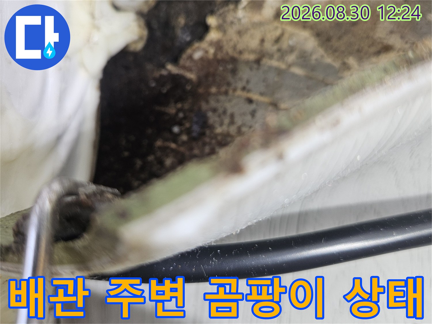 부천 상동 현장의 배관 주변 곰팡이와 벽체 오염 상태를 보여주는 사진입니다.