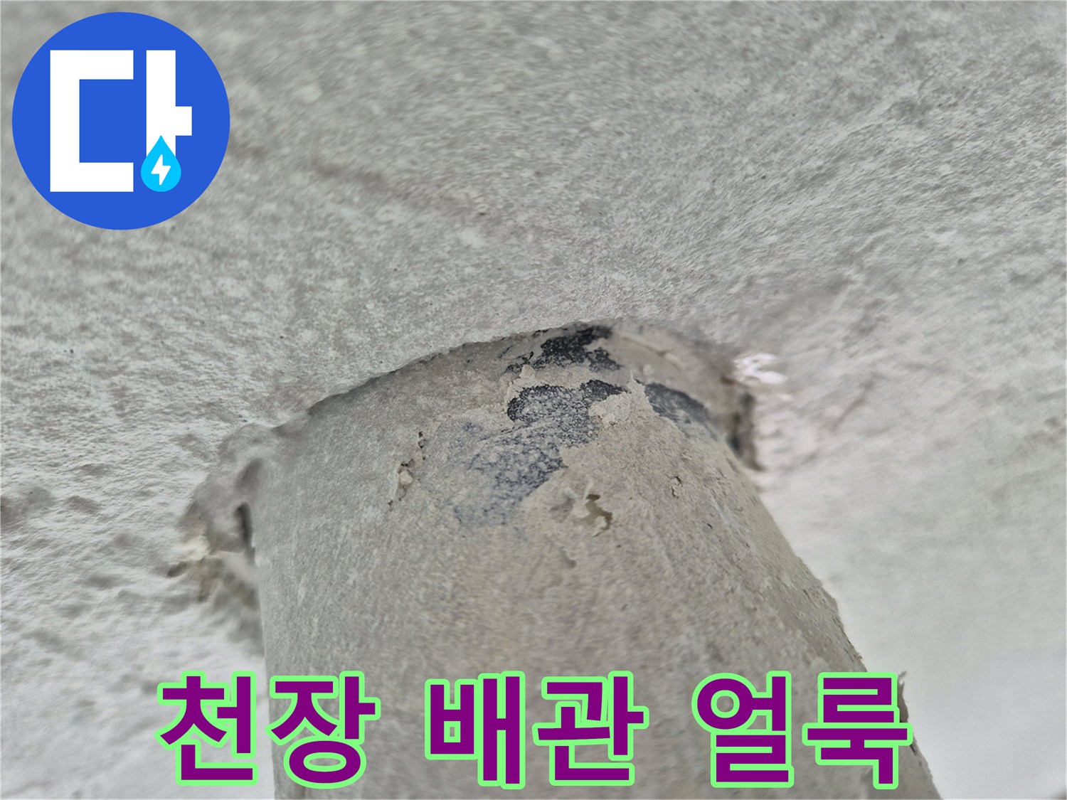 배수관-주변에-발생한-물샘-흔적과-젖은-마감재