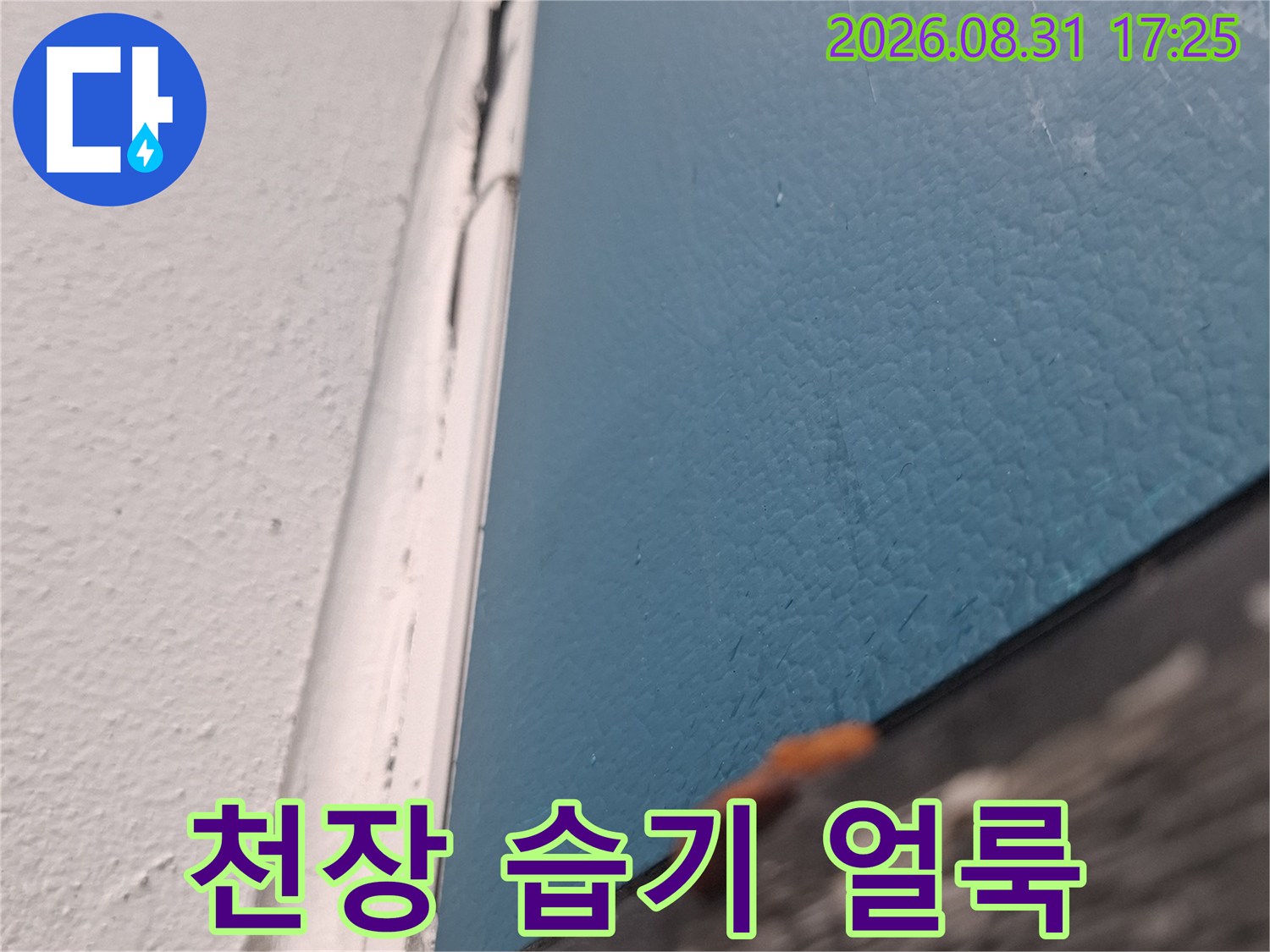 거실 천장-물로 인해 푸르게 변색된 천장 마감 부위 상세 사진