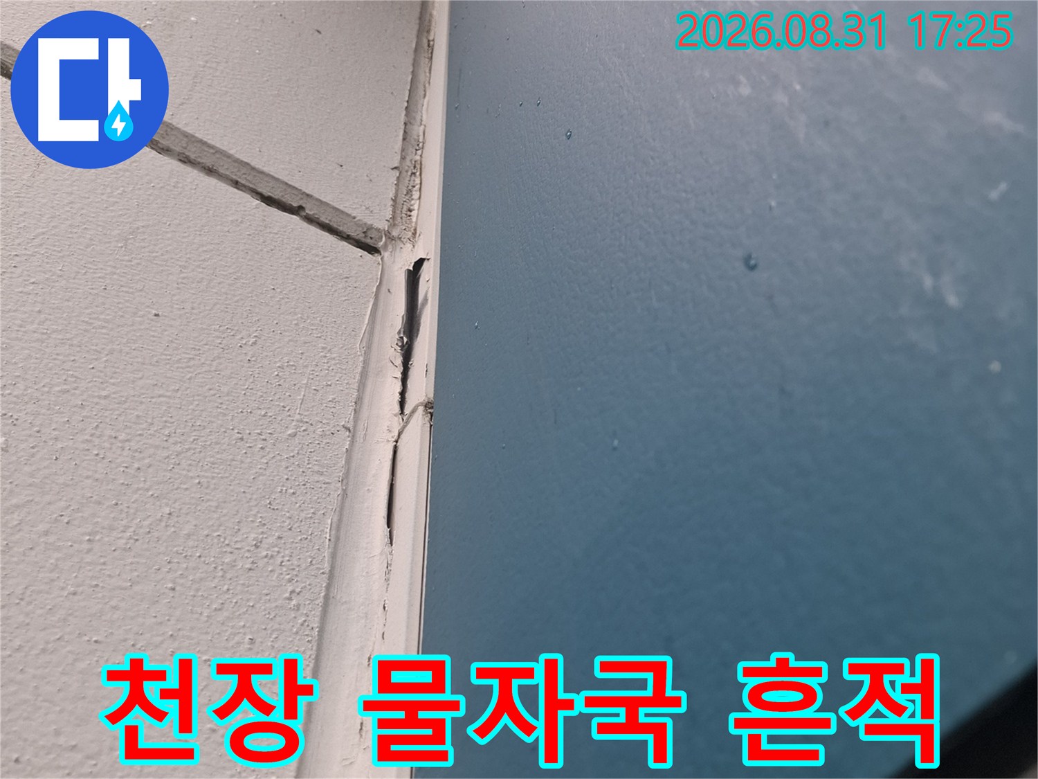 아래층 거실 천장과 벽면 경계에 발생한 젖은 얼룩 현상