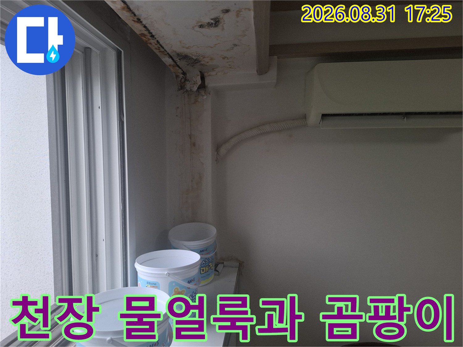 아현동 현장의-천장 벽면 물얼룩 및 곰팡이 발생 상태