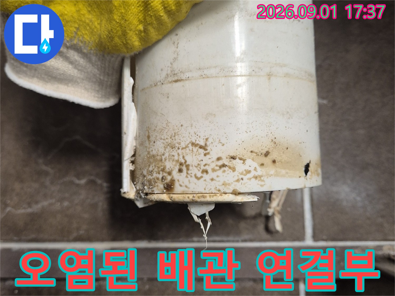 변기 오수관-연결 부위의 찌꺼기와 오염된 배관 표면