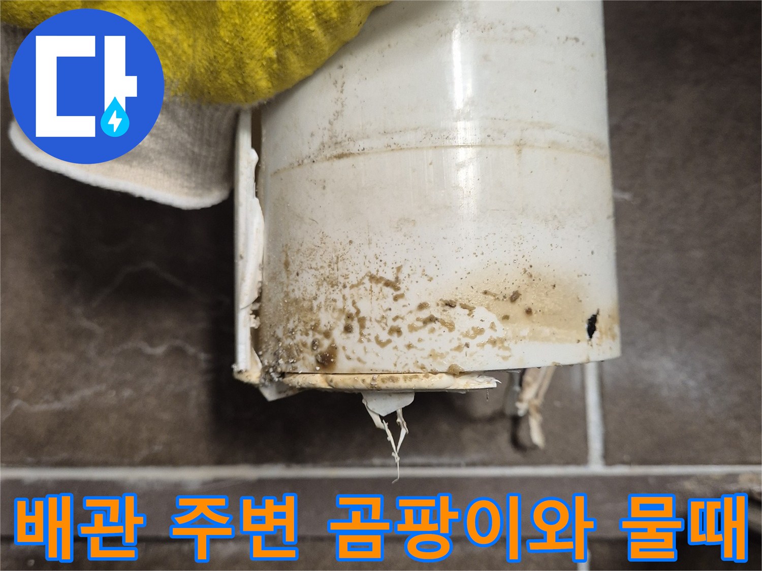 변기 하단 배관 주위에 형성된 곰팡이와 수분 침투 흔적