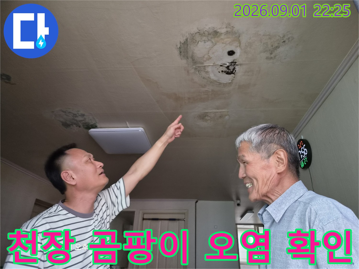 거실 천장 마감재 부위의 누수 얼룩과 곰팡이 분포 현황