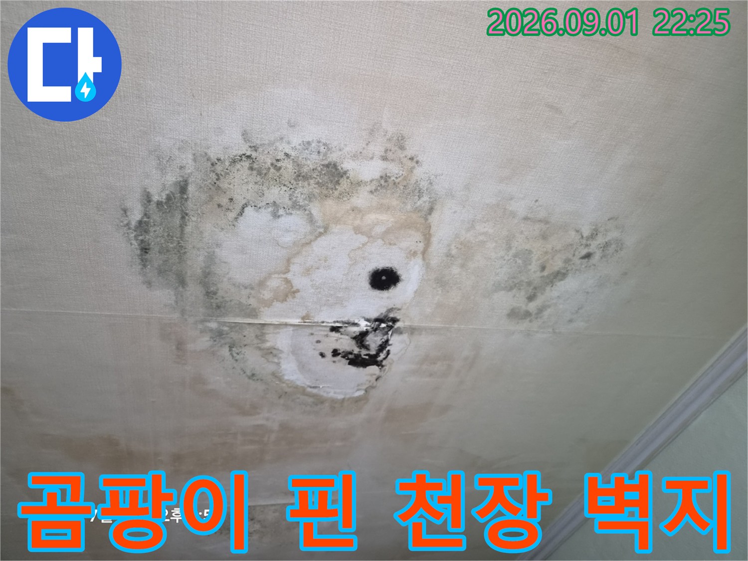 천장 누수 흔적 - 물샘으로 인한 변색과 곰팡이가 발생한 모습입니다.