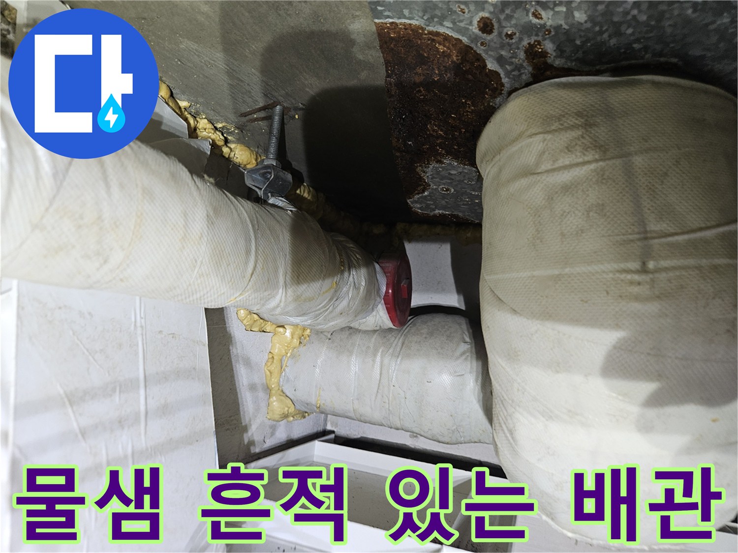 물샘이-발생한-배수관-연락부의-근접사진
