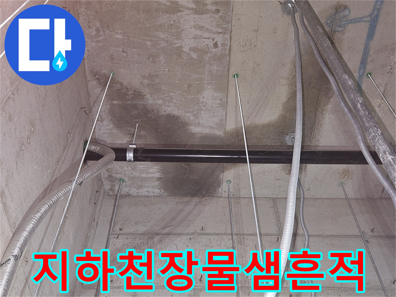 기흥구 영덕동-지하 창고 천장 콘크리트의 물에 젖은 얼룩 상태