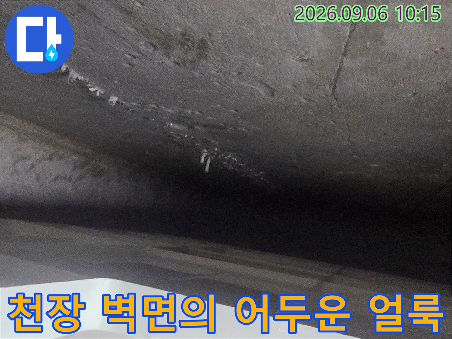 습기가 침투하여-어둡게 변색된 천장 내부 모습