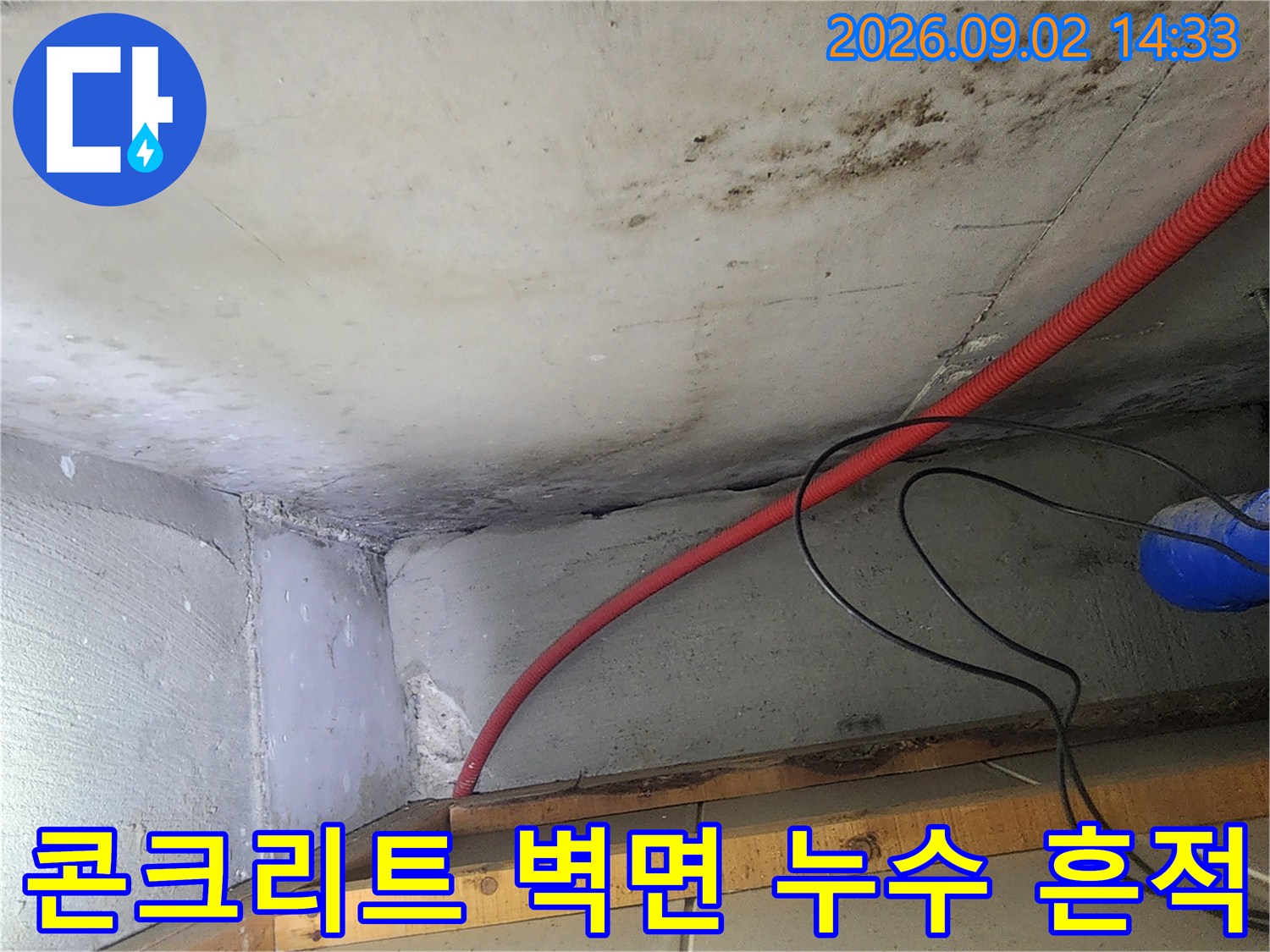 누수로 얼룩진 콘크리트-천장 배관 주변의 곰팡이 상태