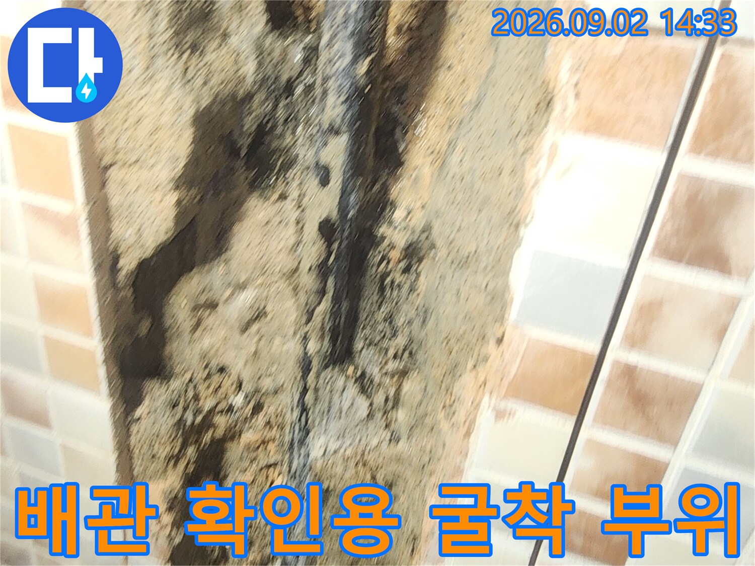 성내동 누수 현장-문제가 되는 배관을 찾기 위해 진행한 굴착 부위입니다.