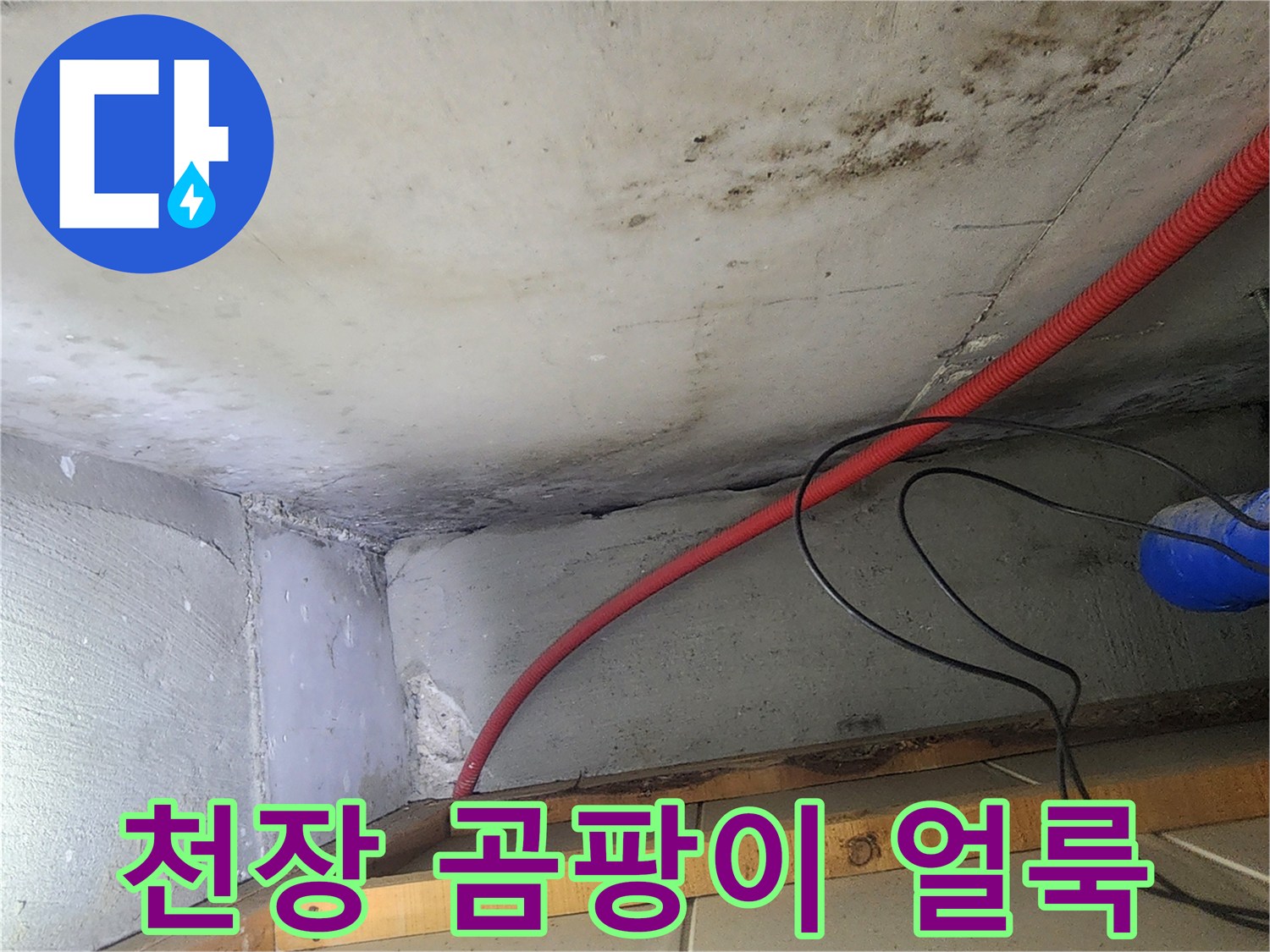 성내동 현장-천장 콘크리트 면의 곰팡이와 물샘 흔적