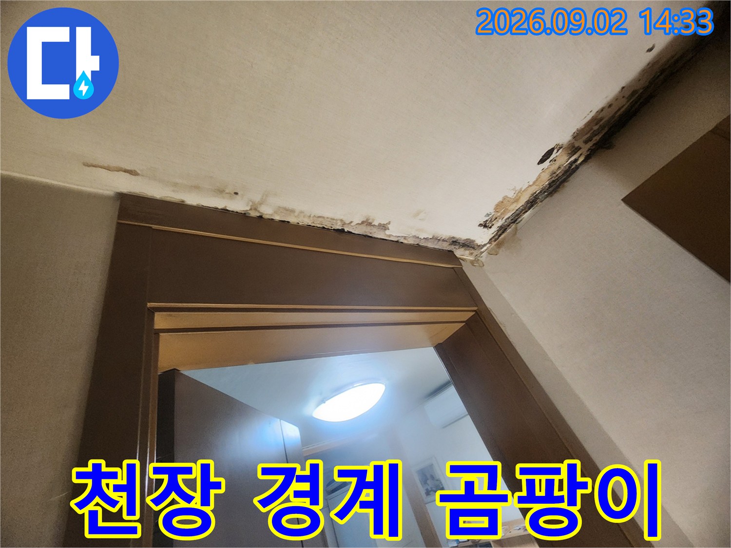 성내동 현장의 천장 가장자리 곰팡이 및 마감재 오염 부위