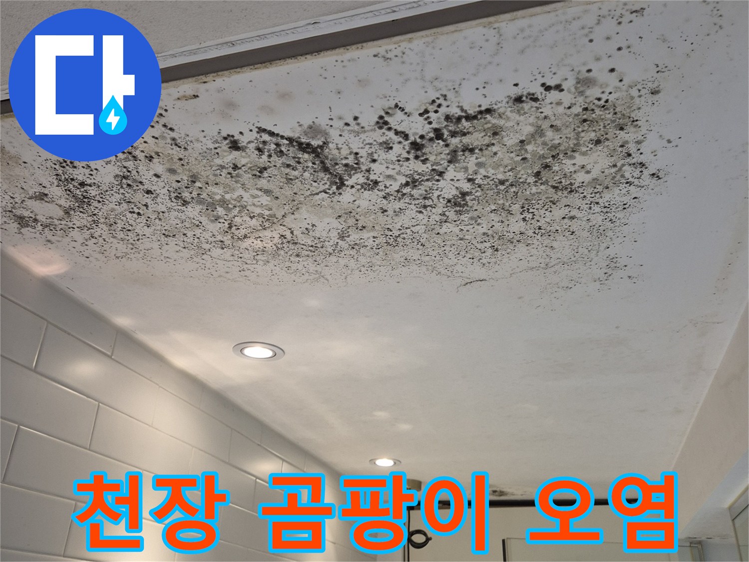 천장 경계 부분의 심한 검은색 곰팡이 발생 부위