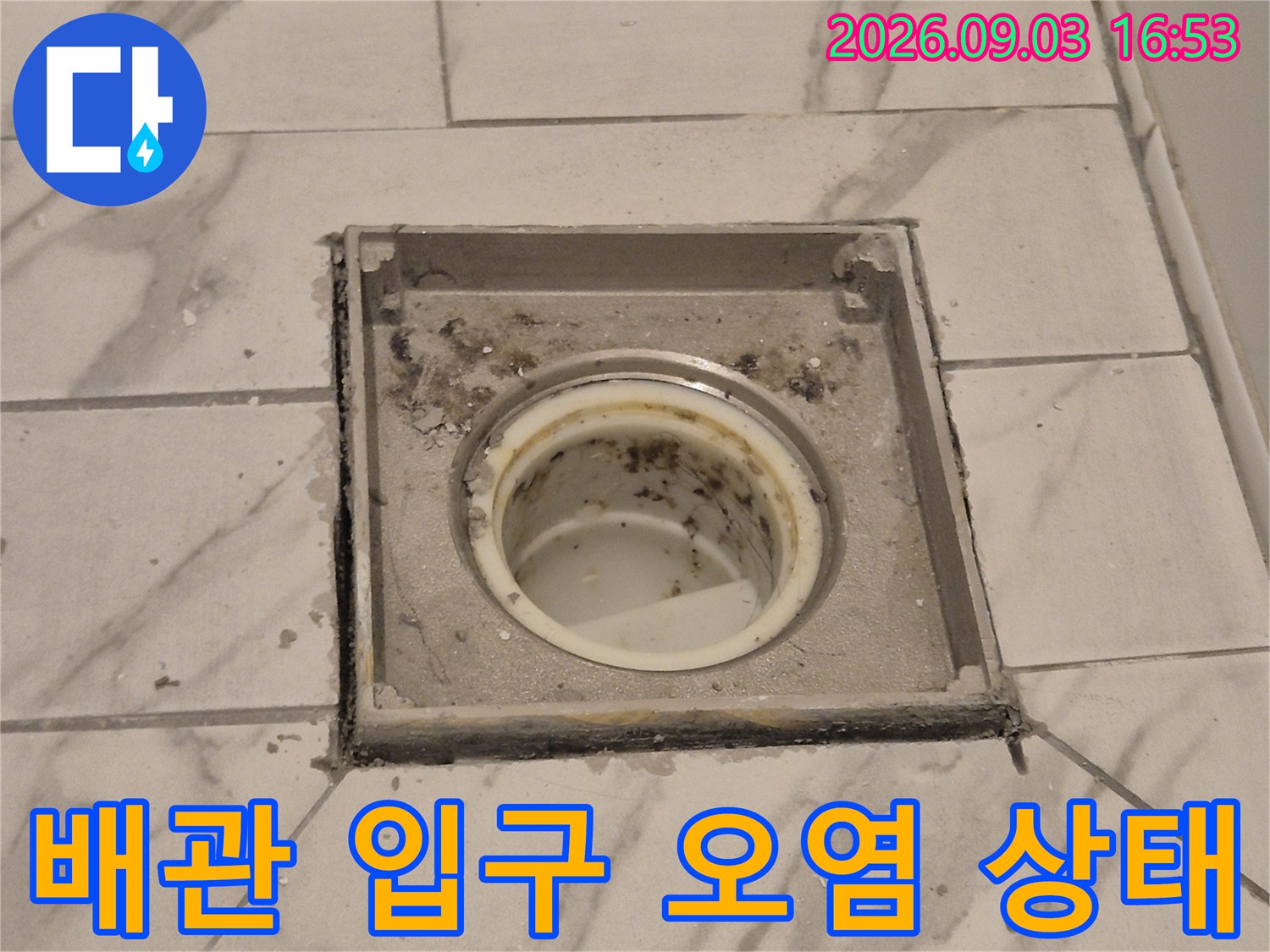 타일 사이 유가 주변에 남은 물때와 오염된 배관 입구 모습입니다.