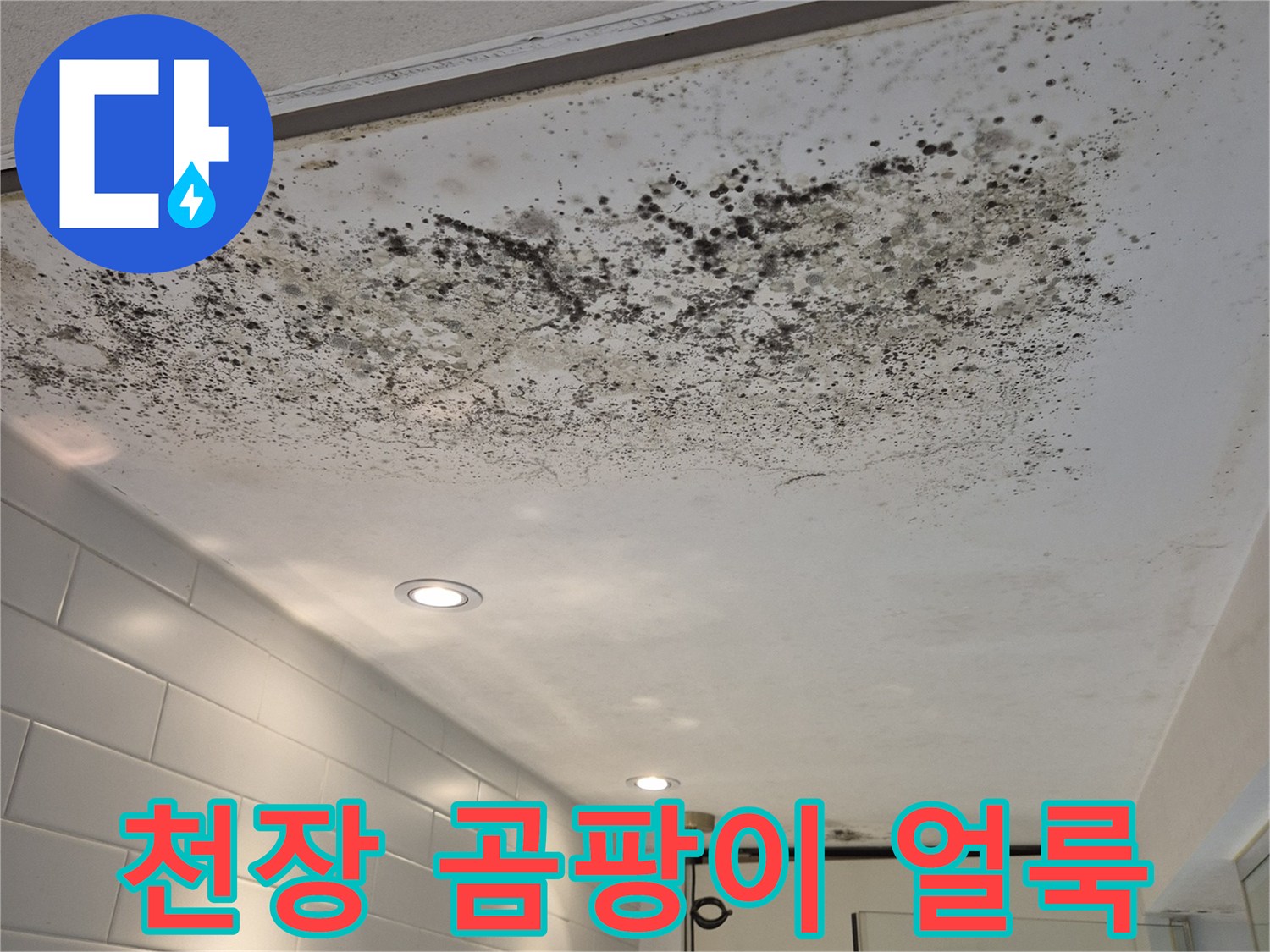 화장실 앞 천장에 발생한 검은색 곰팡이와 습기 얼룩