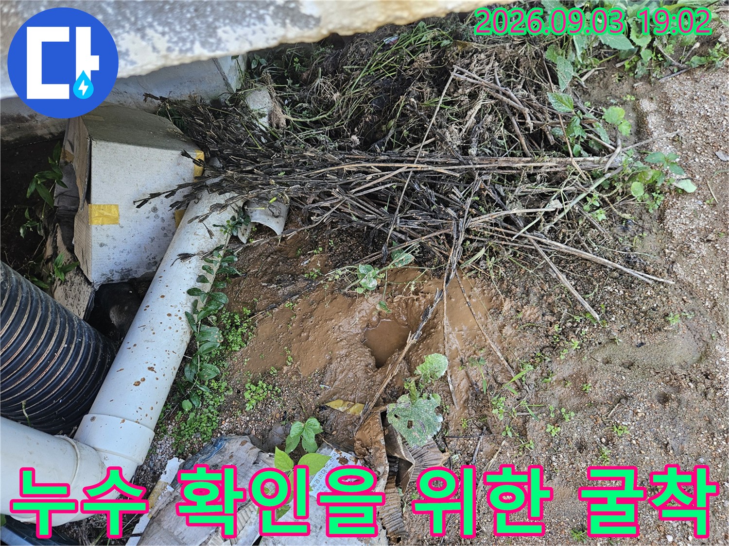 용인 처인구 백lam-배관 파손 부위를 찾기 위한 흙 제거 작업