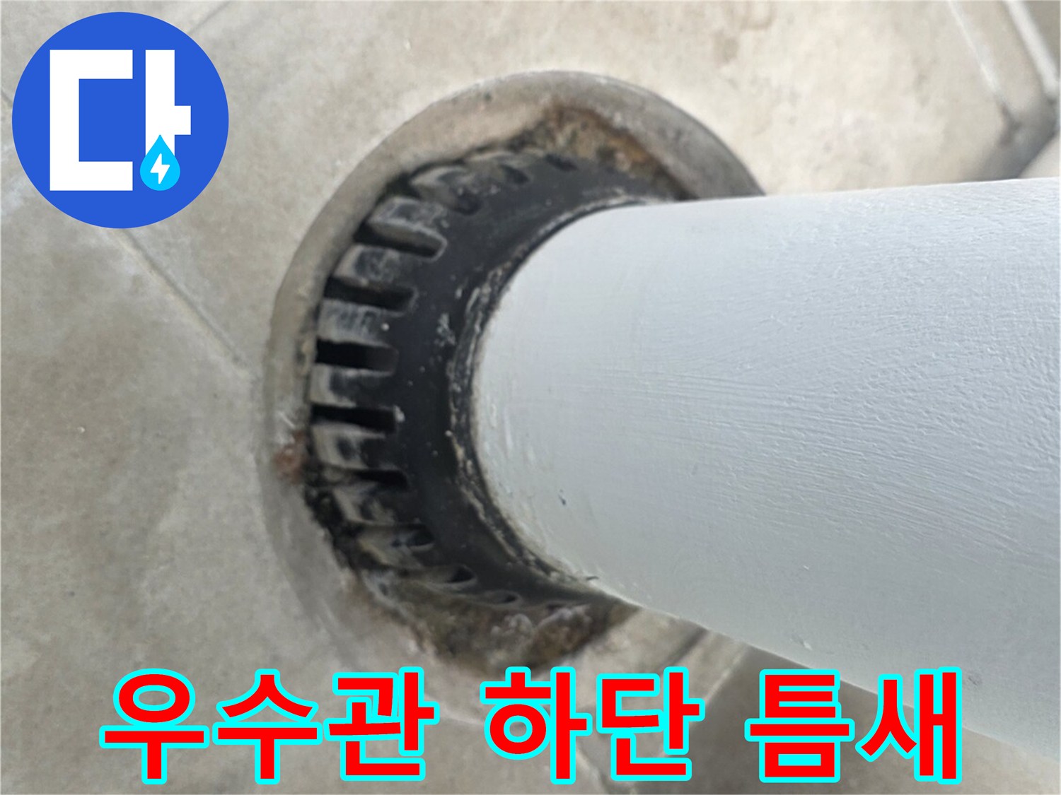 분당 수내 배관 하단의 누수 의심 지점 모습입니다.
