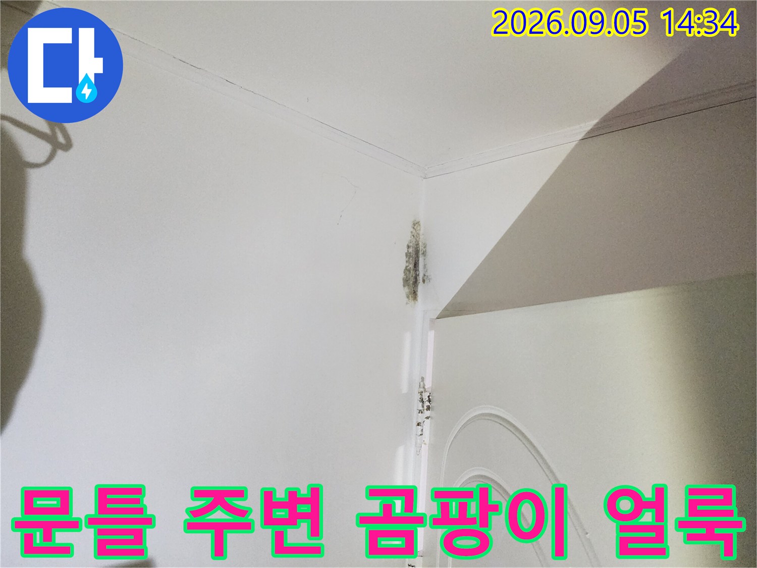 은평구 신사동 현장-문틀 주변에 발생한 벽지 변색과 곰팡이 상태입니다.