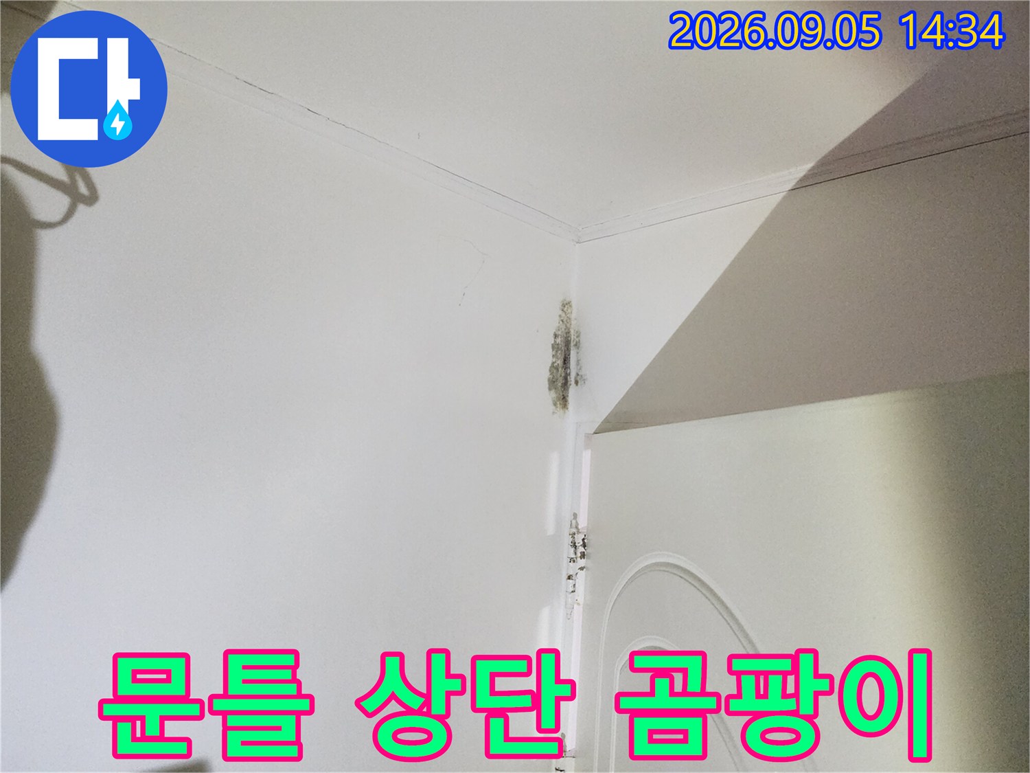 은평구 신사동 현장-문틀 주변에 번진 곰팡이와 습기 흔적