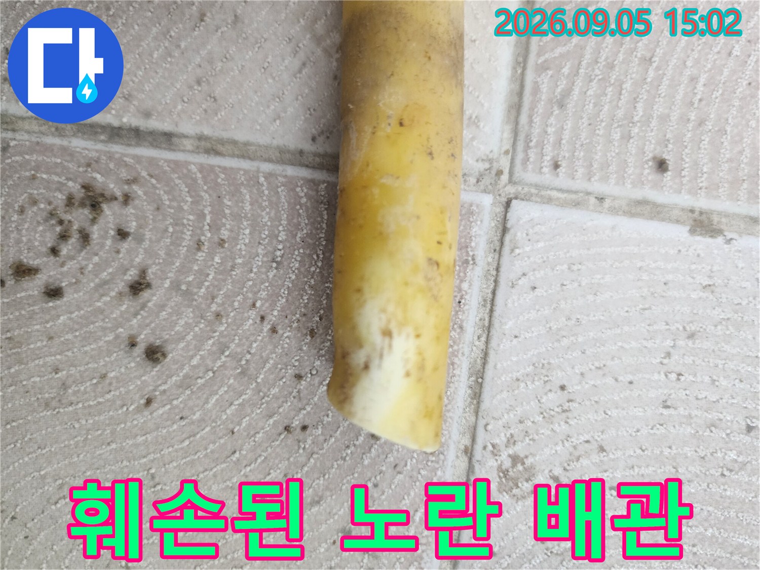 훼손된 노란색 배관-끝부분이 하얗게 변한 파손 부위 상세 사진