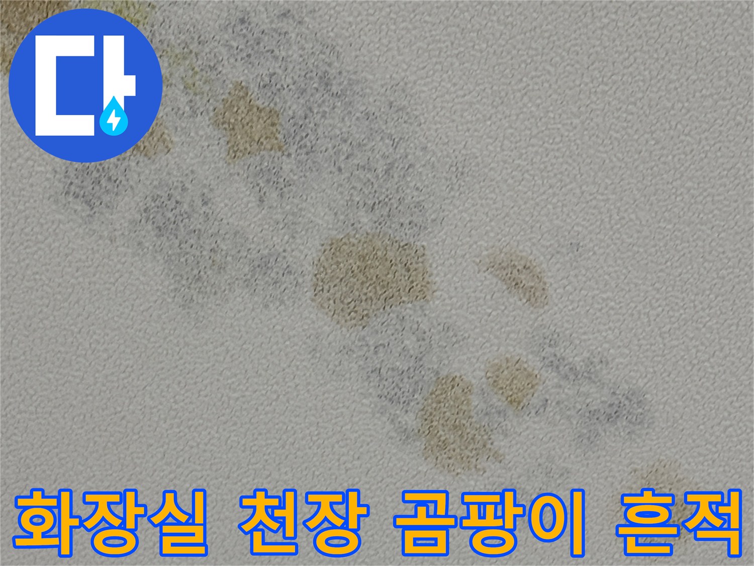 용인 동천동 현장의-화장실 천장 곰팡이 및 오염 상태