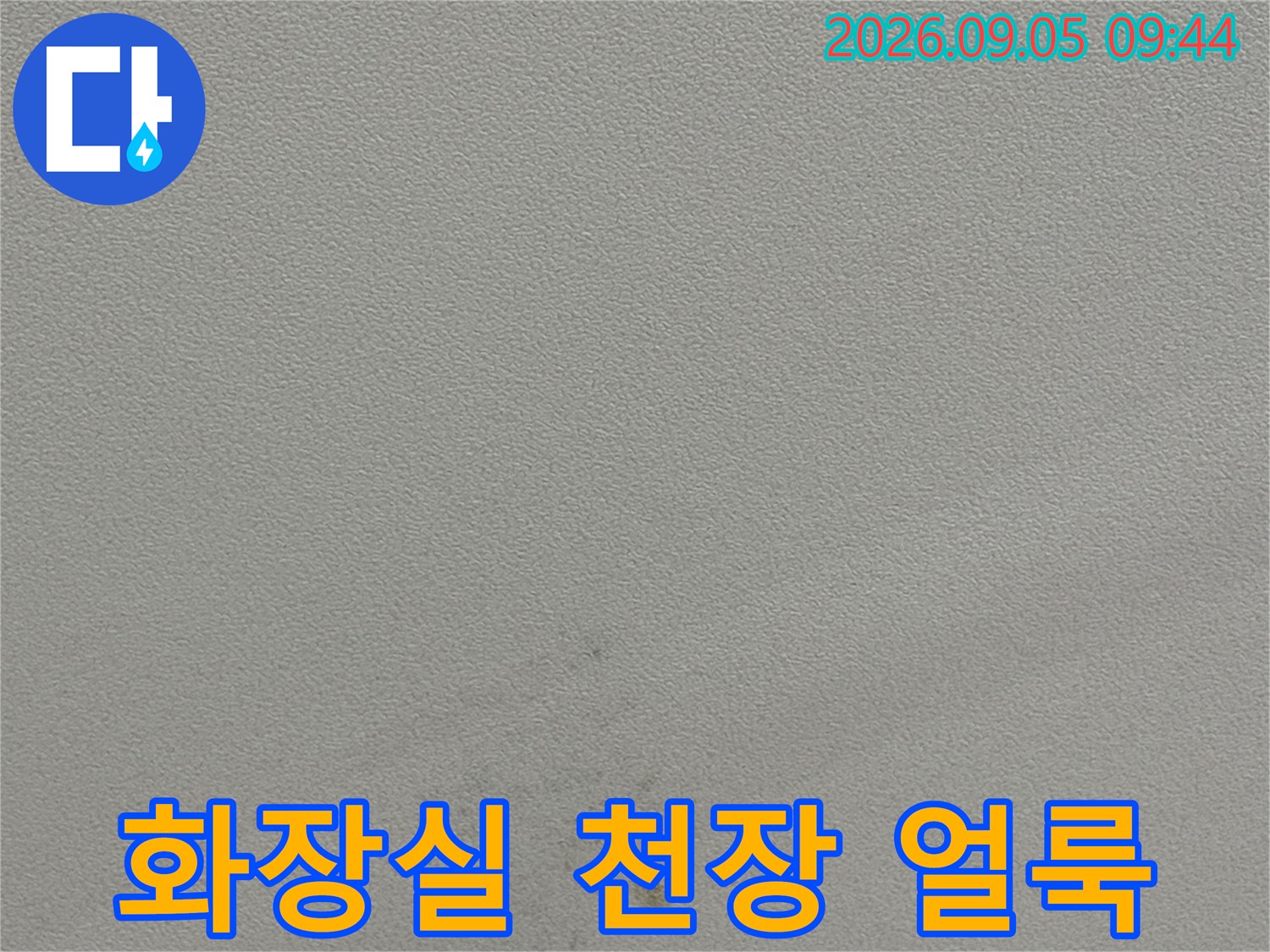용인 수지구 동천동-화장실 천장 벽면에 발생한 누수 흔적과 물자국
