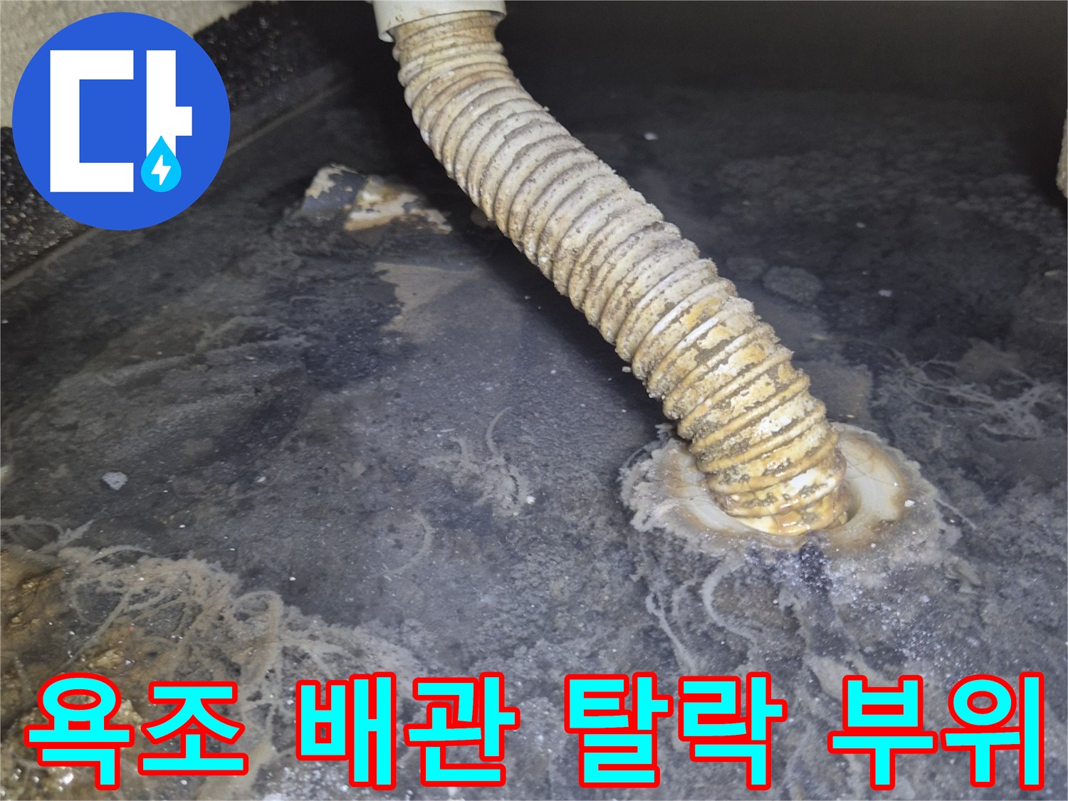 벽면 틈새로 빠져나온 배수 호스 연결부