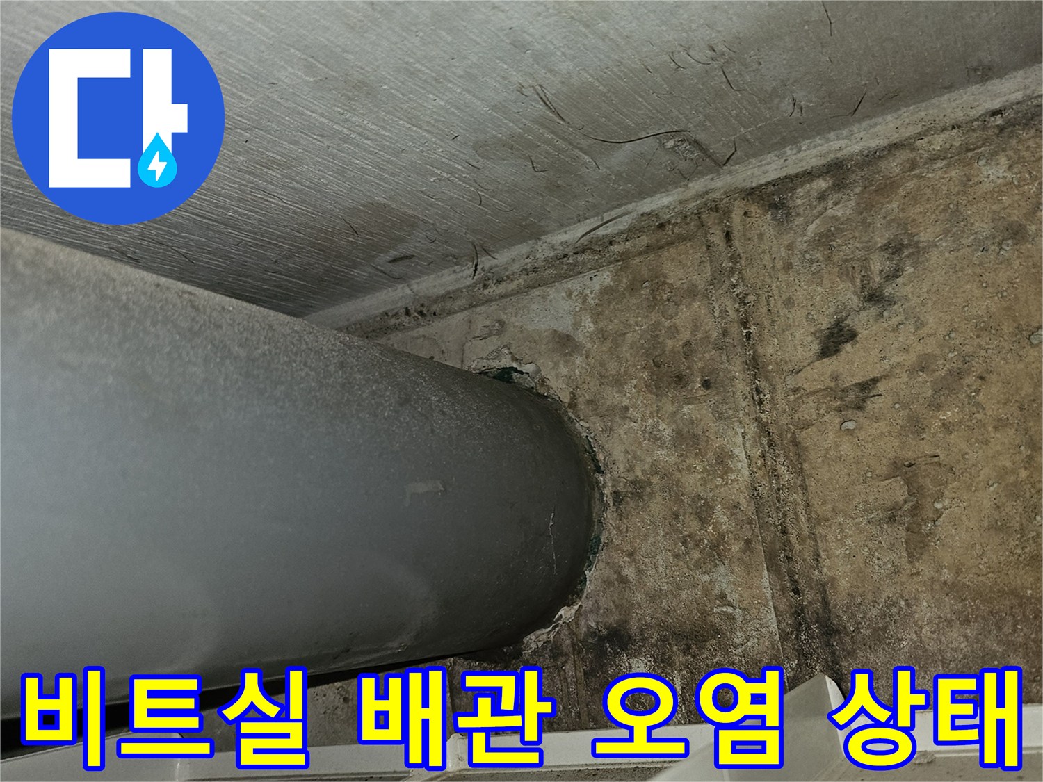 필로티 구조 비트 공간 내부의 배수 파이tes와 오염된 천장 벽면 모습