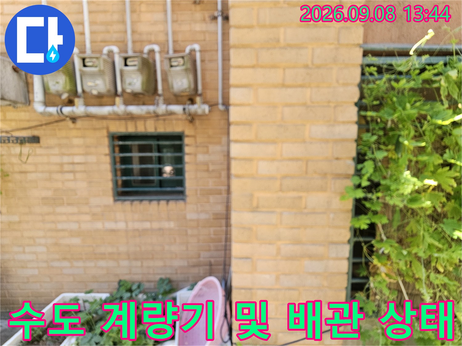 은평구 갈현동 건물의 수도 계량기와 연결된 외부 배관-누수 정밀 점검