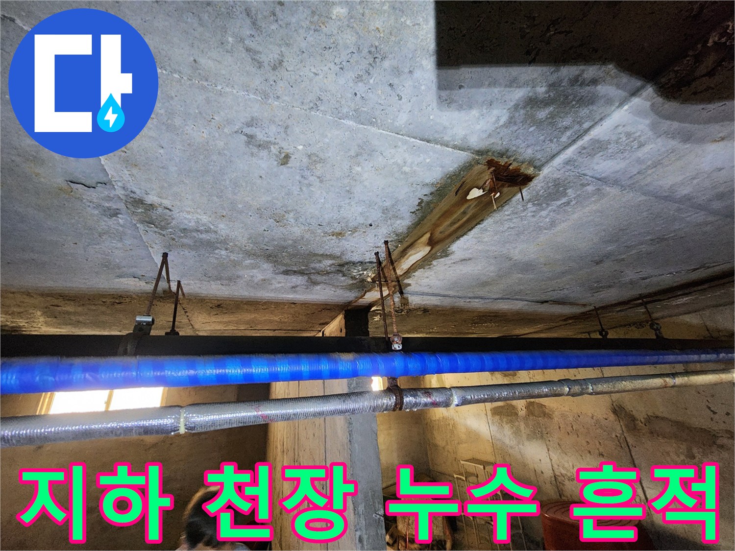 연천 전곡읍-빌라-지하층-천장-누수-및-얼룩-상태