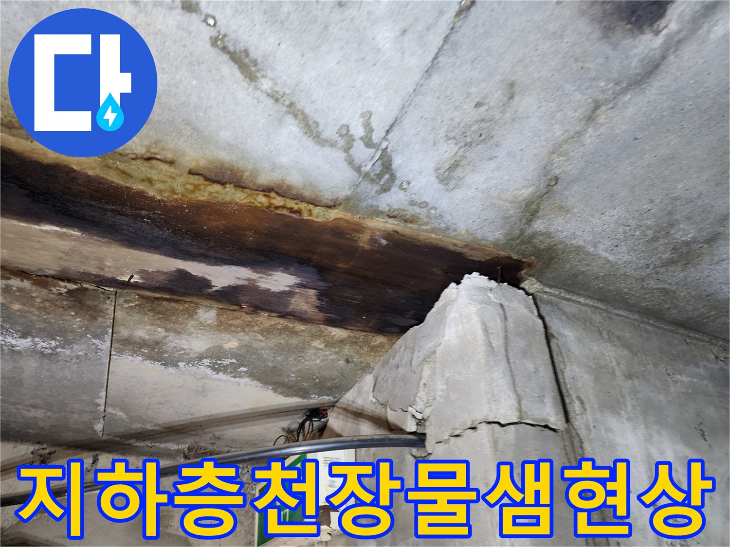 연천 전곡읍 빌라-지하층 천장 누수 얼룩 및 습기 상태