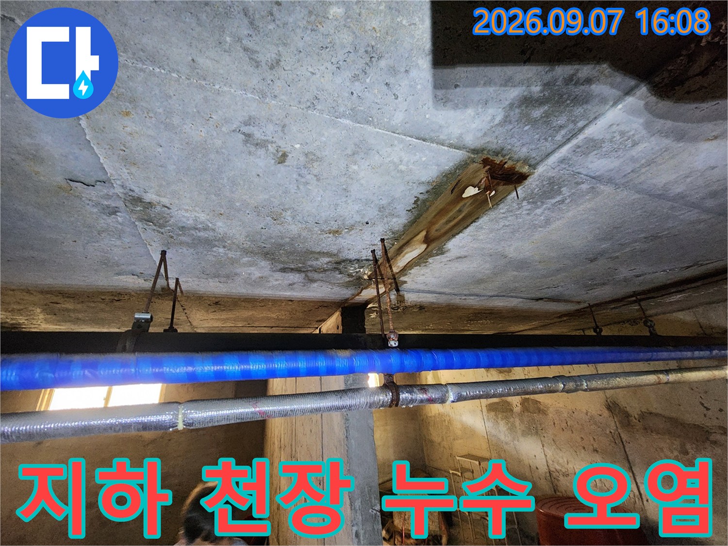 연천 전곡읍 빌라-지하층 콘크리트 슬라브의 심한 물자국과 오염 상태