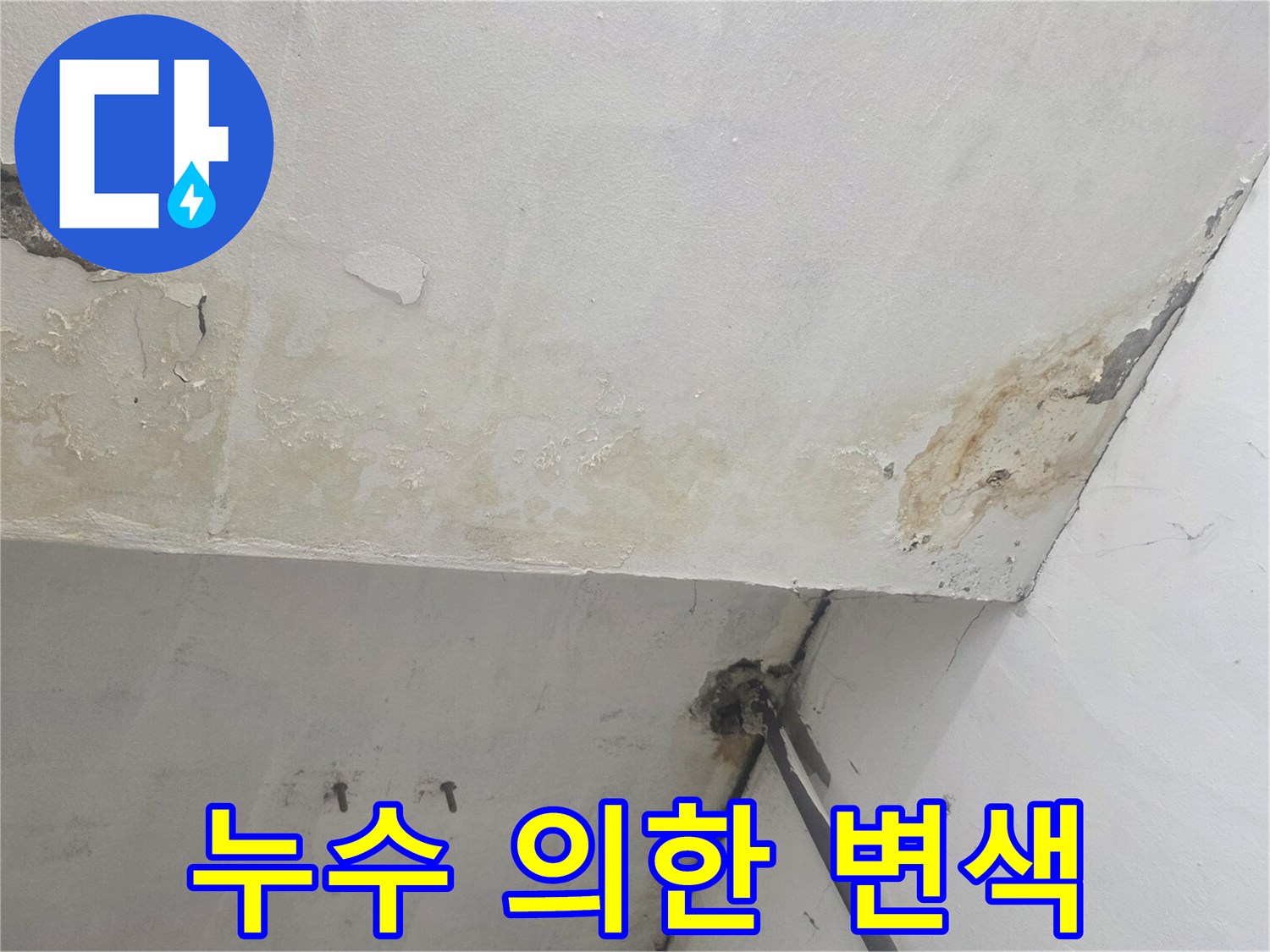 강서구 화곡동-천장 곳곳에 나타난 누수 및 백화 현상