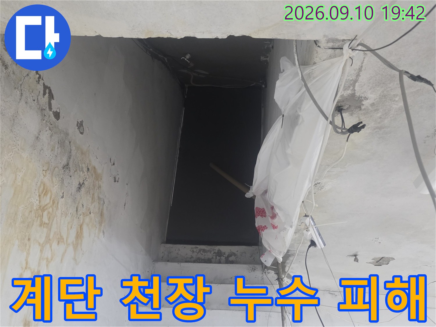 물기가 스며들어 얼룩진 지하 계단실 천장 내부