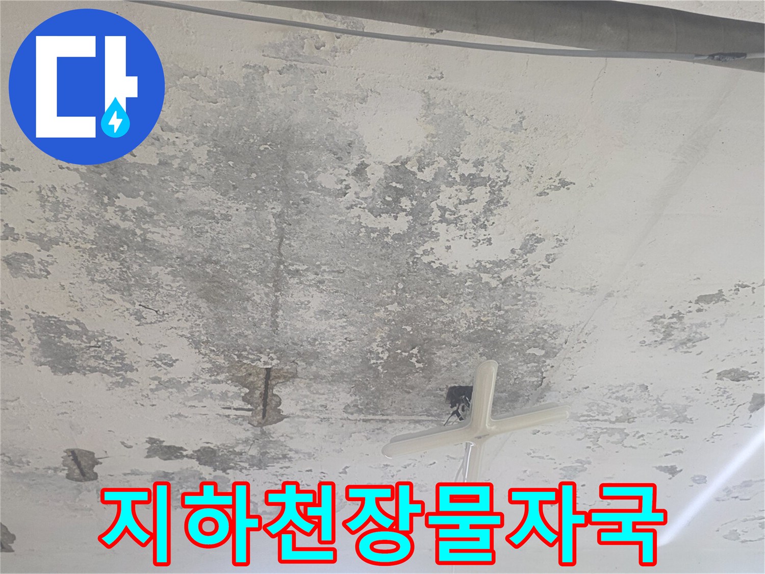 습기로-인해-변색되고-백화가-발생한-지하-천장-콘크리트