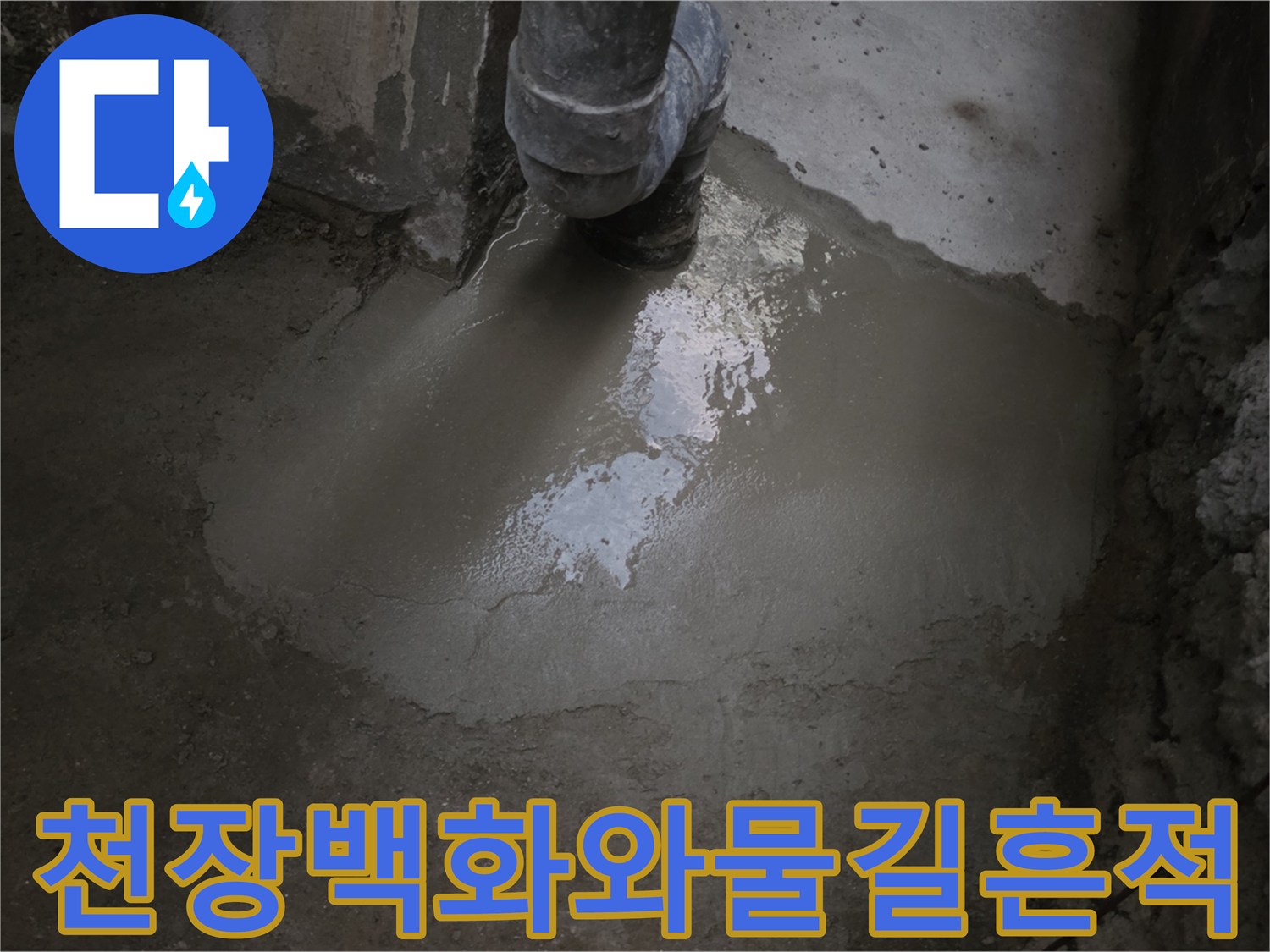 지하 계단 천장 부근의 하얀 백화 현상과 물샘 흔적 사진