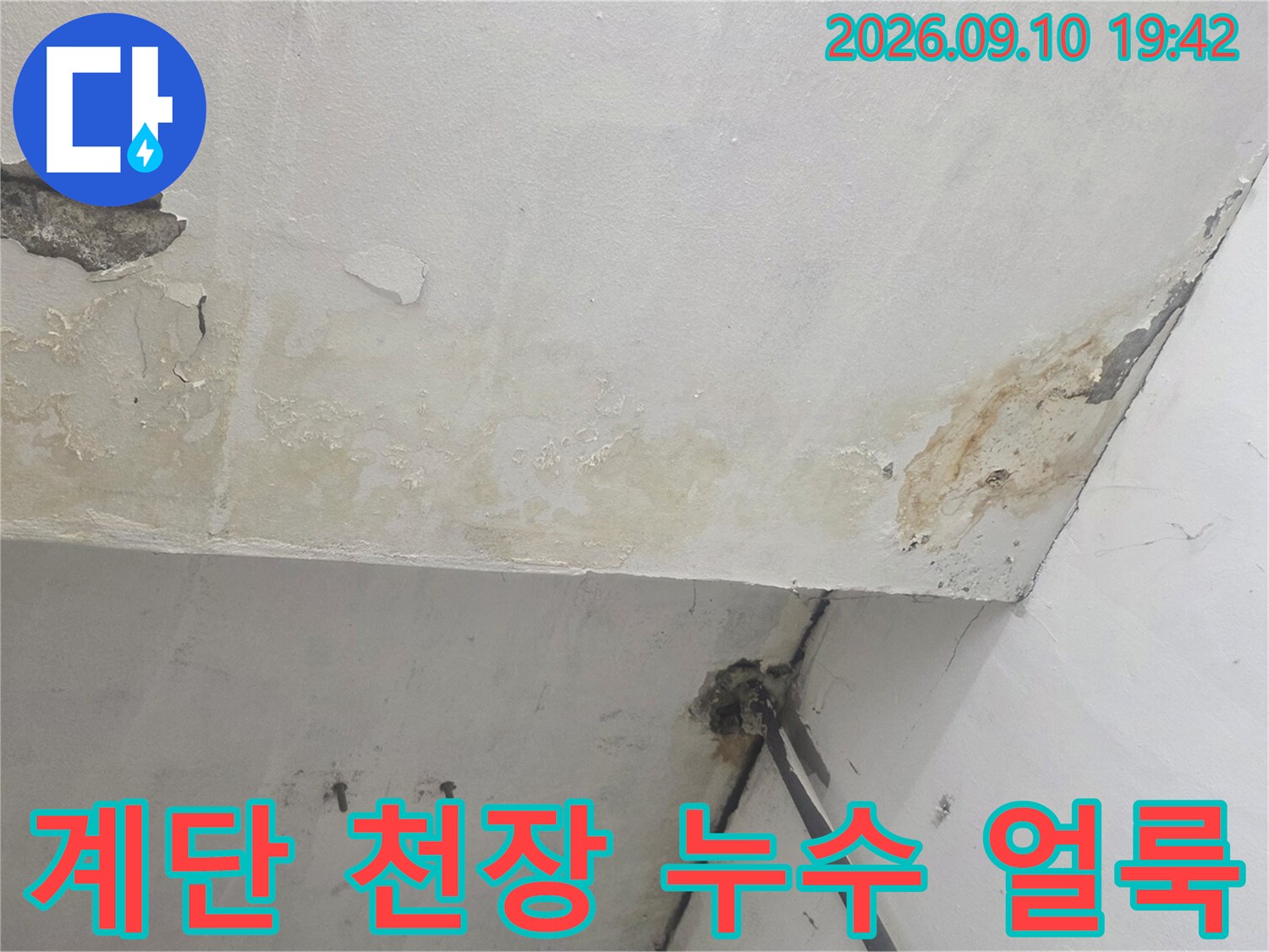 지하 계단실 천장에 퍼진 누수 얼룩과 변색된 벽면