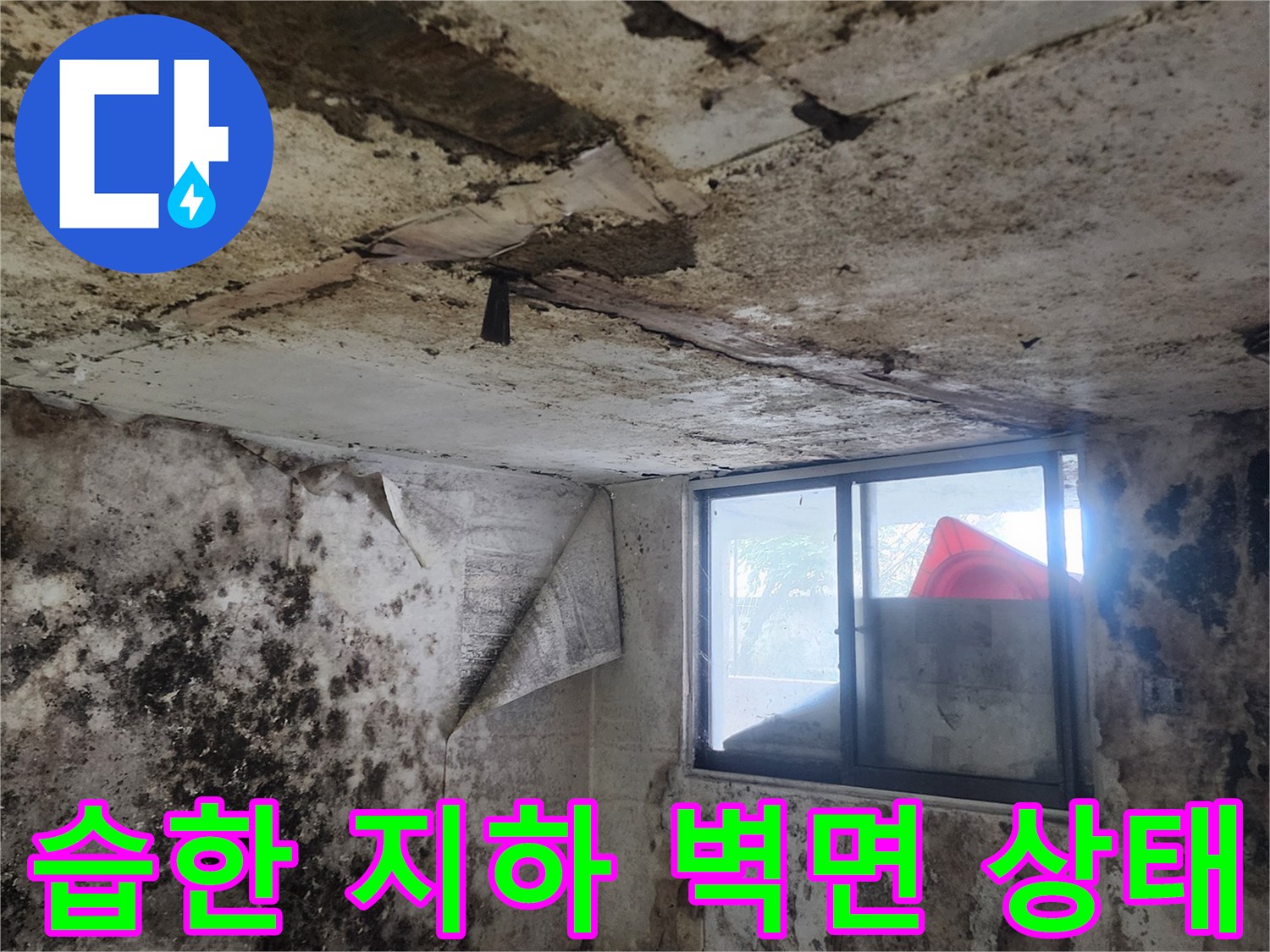 곰팡이로 오염된 서초구 염곡동 지하실 내부 모습