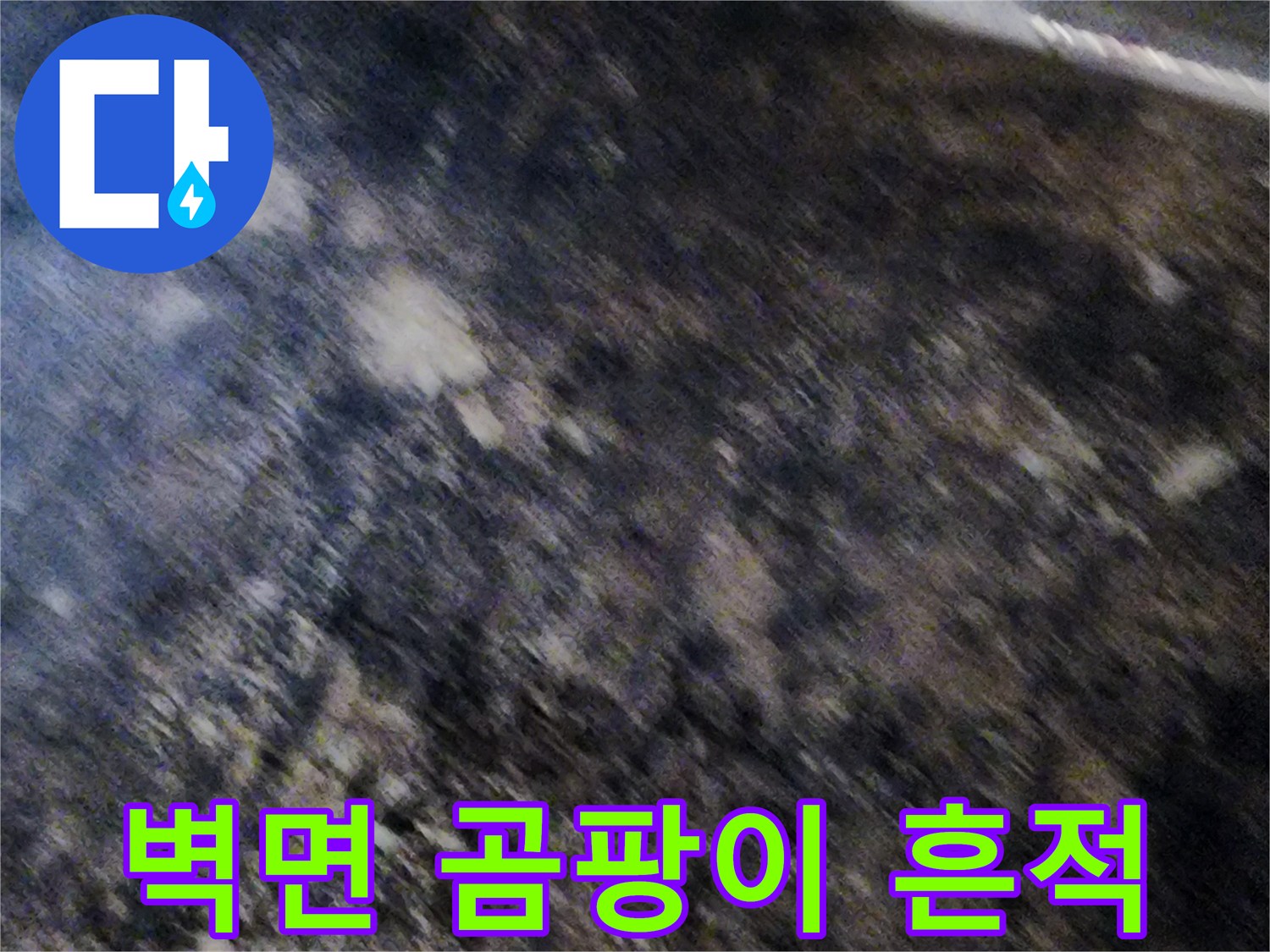 누수로 인해 오염된 지하실 내부 벽면 모습