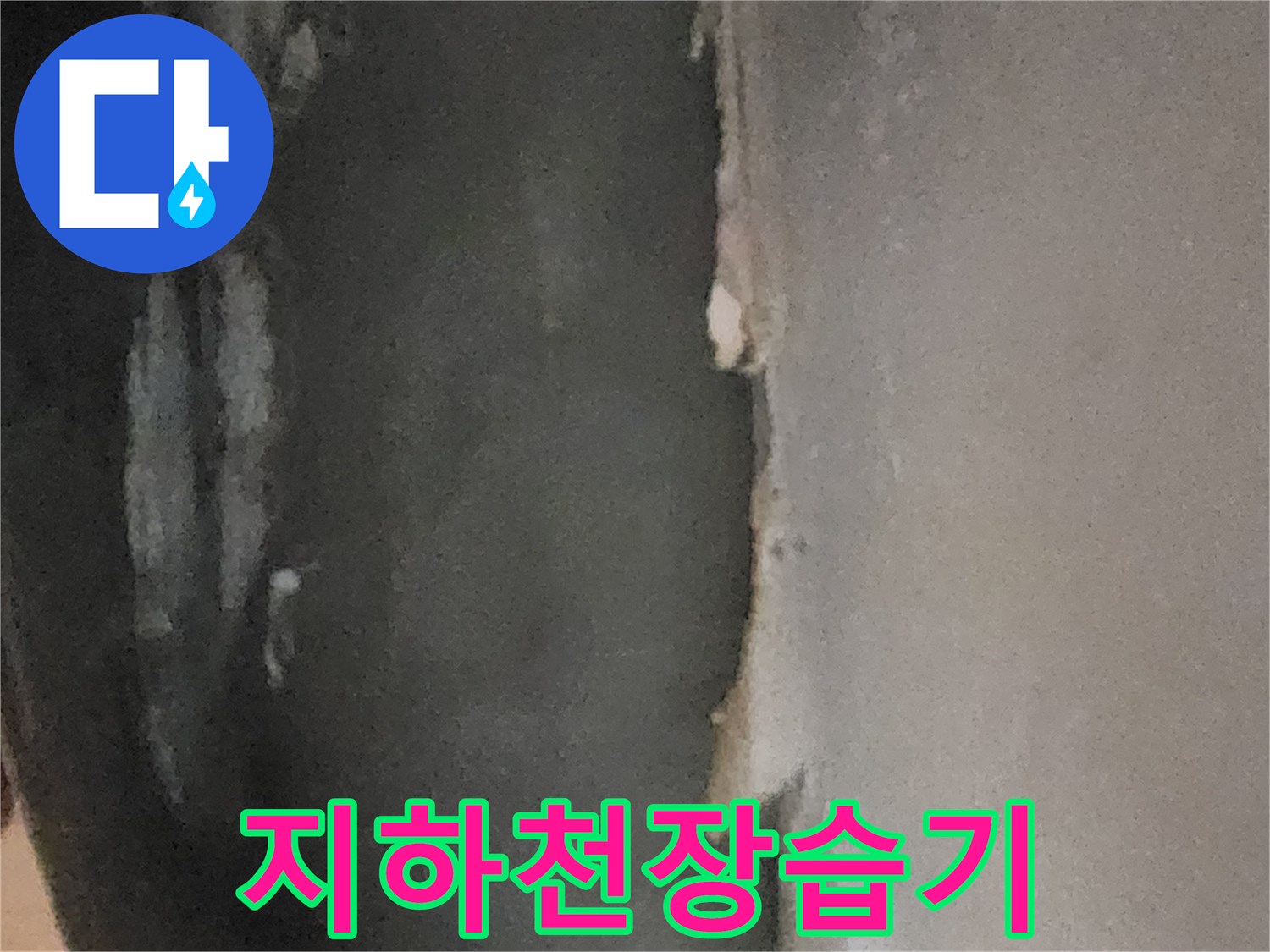 물기에 젖어 들뜬 상태의 지하실 천장 마감재 부위