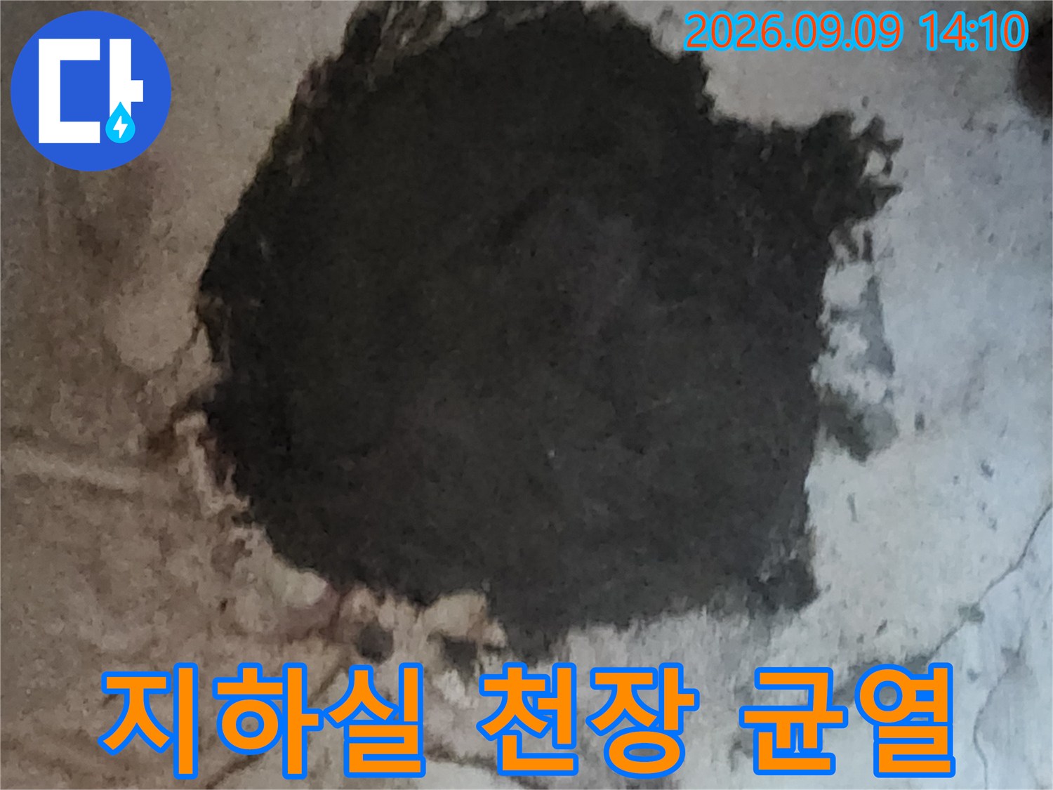 물에 젖어 검게 변한 지하실 천장 마감재 부위