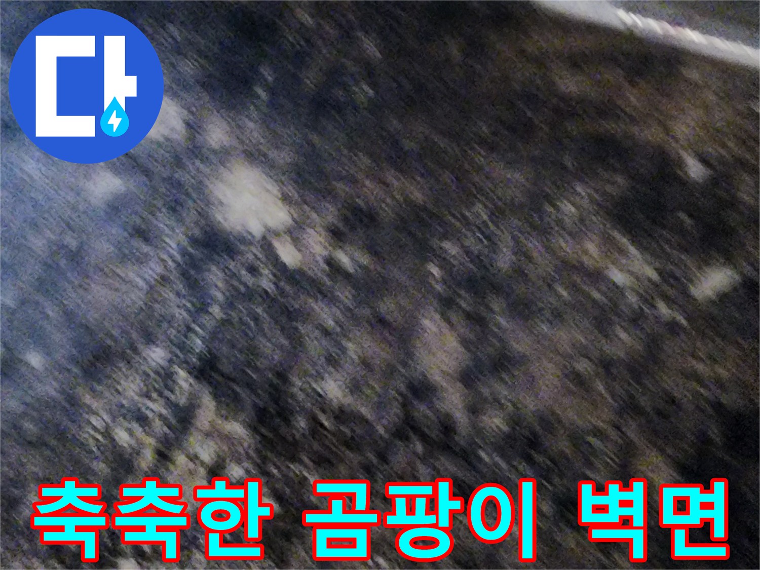 서초구 염곡동 지하실-곰팡이가 번진 습한 벽면 모습
